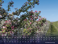 Kalender Werder Mai 2027 Kalender Werder Mai 2027